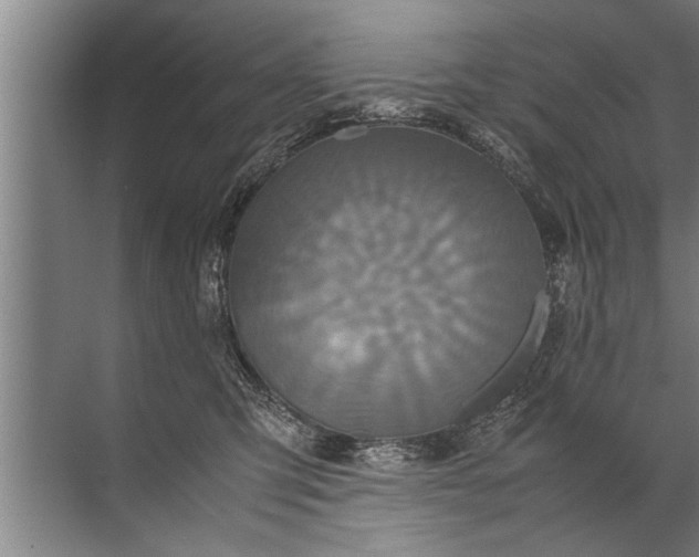 X0000072520423200607290203