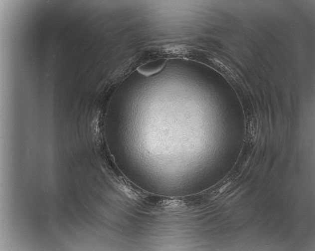 X0000072520424200607290203