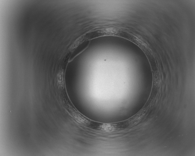 X0000072520425200607290203