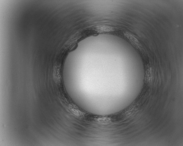 X0000072520426200607290203