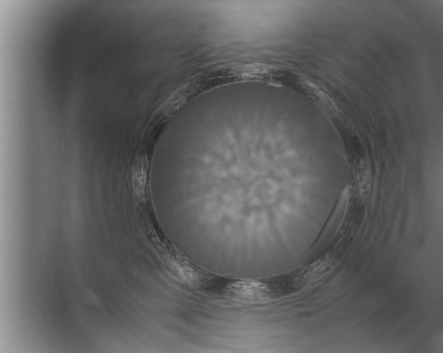 X0000072520427200607290203