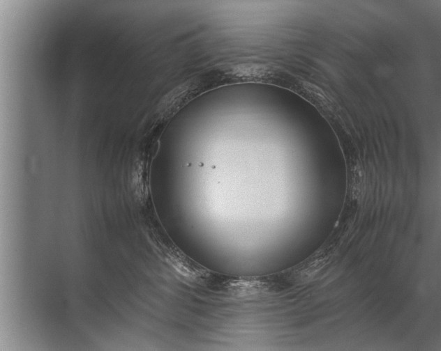 X0000072520428200607290203