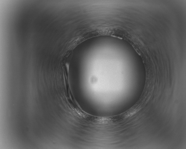 X0000072520432200607290203