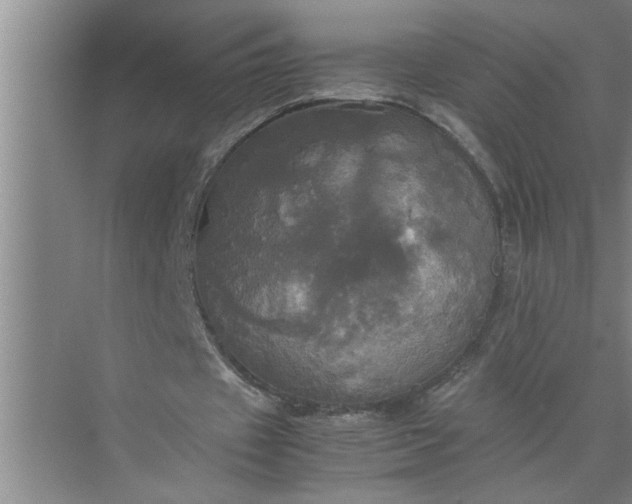 X0000072520433200607290202