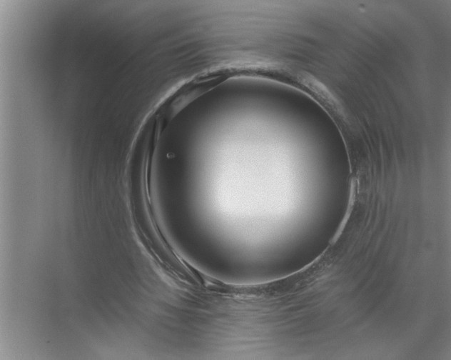 X0000072520436200607290202