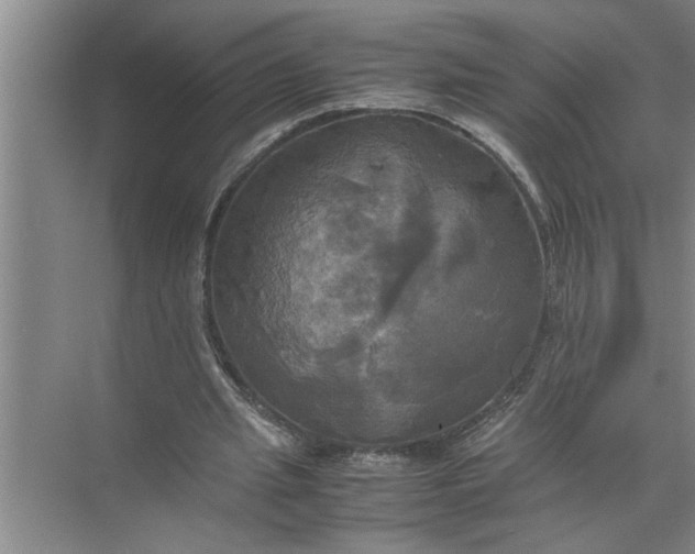 X0000072520437200607290202