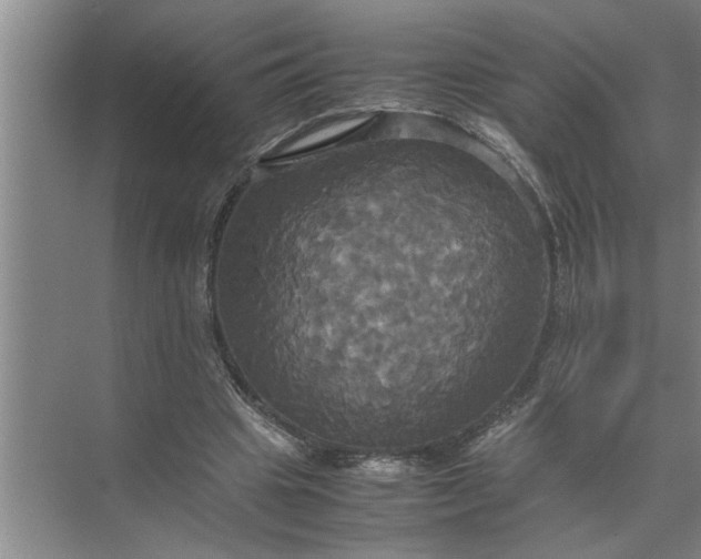 X0000072520441200607290202