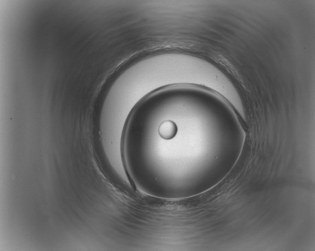 X0000072520444200607290202