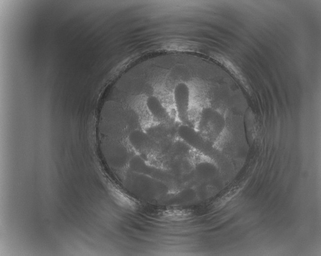 X0000072520445200607290202