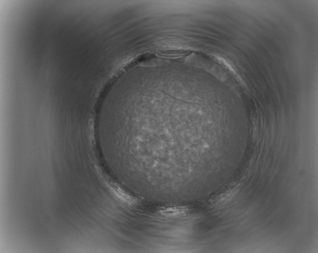 X0000072520447200607290202