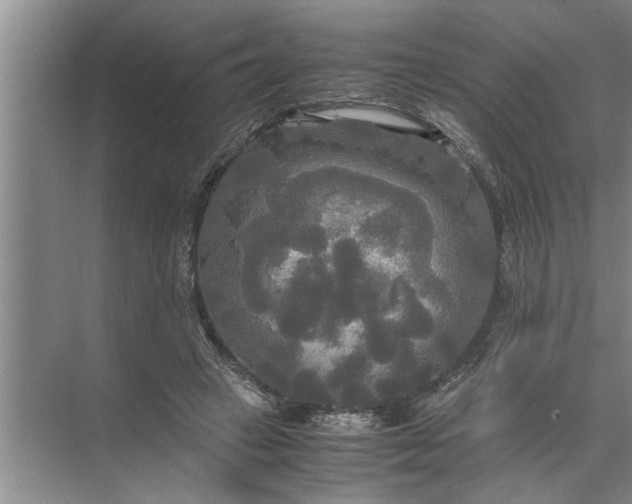 X0000072520449200607290202