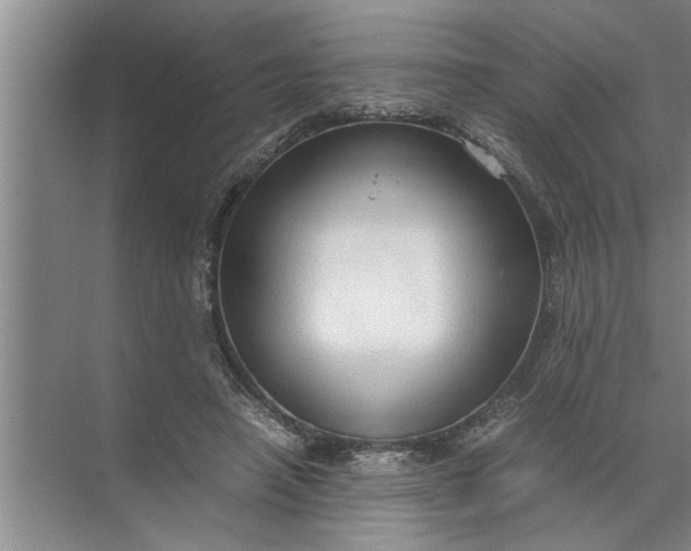 X0000072520450200607290202