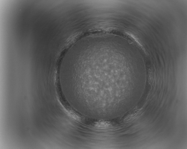 X0000072520451200607290202