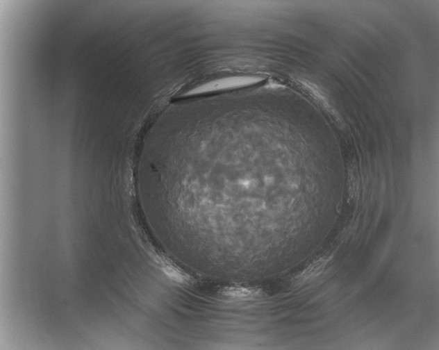 X0000072520453200607290202