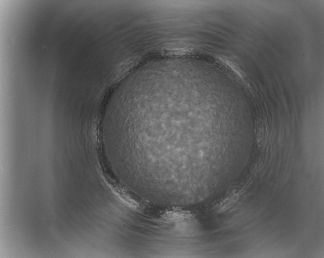 X0000072520455200607290203