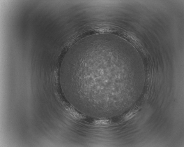 X0000072520461200607290203