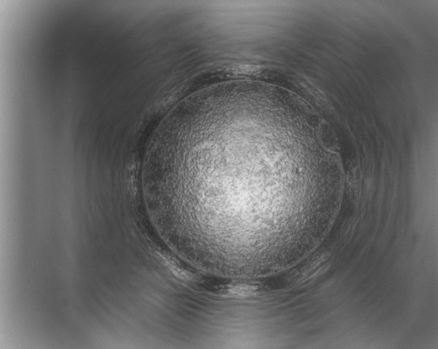 X0000072520462200607290203