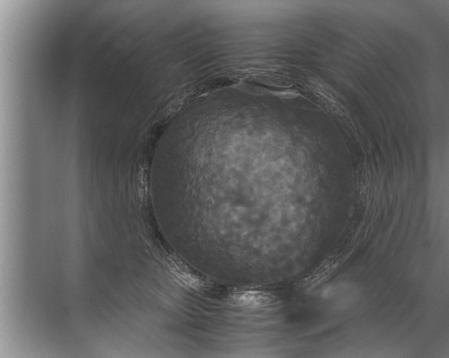 X0000072520467200607290203