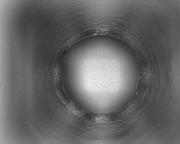 X0000072520468200607290203