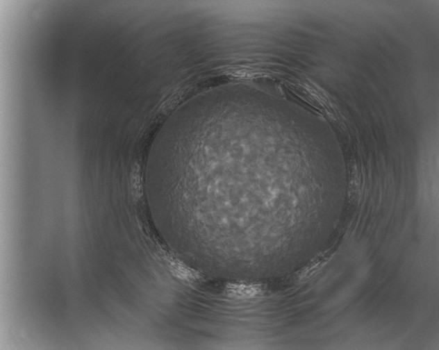 X0000072520469200607290203