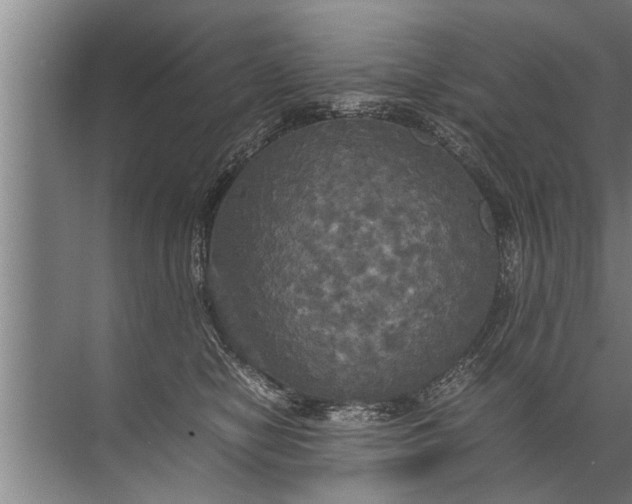 X0000072520470200607290203