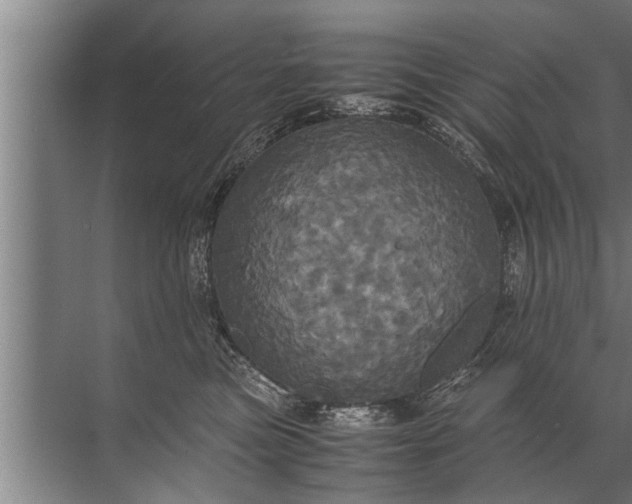 X0000072520473200607290203