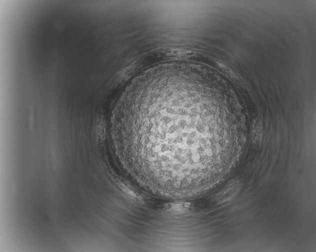 X0000072520474200607290203