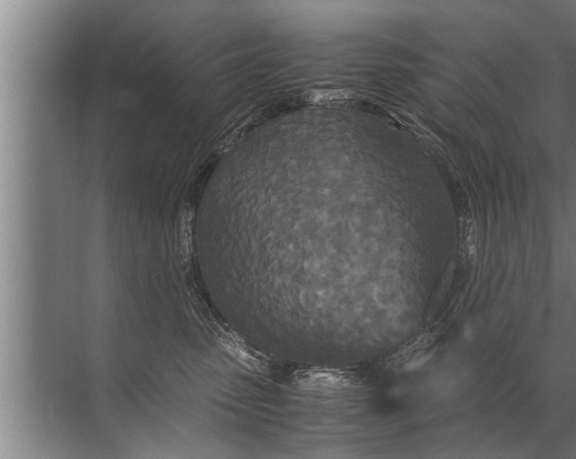 X0000072520475200607290203