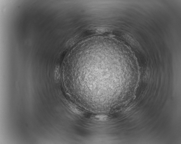 X0000072520478200607290203