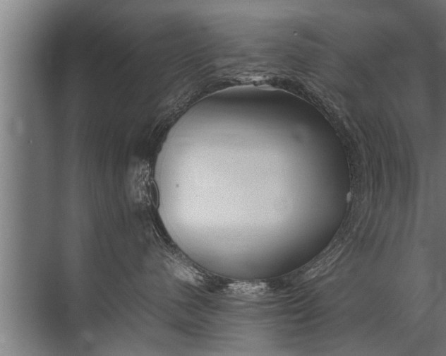 X0000072520480200607290203