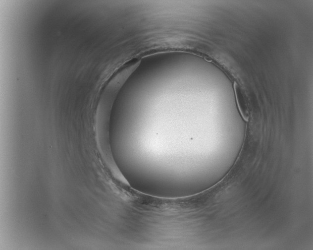 X0000072520481200607290202