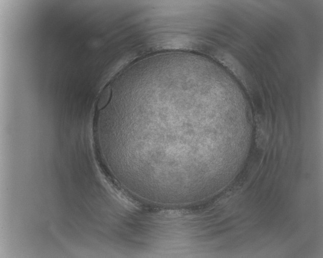 X0000072520482200607290202