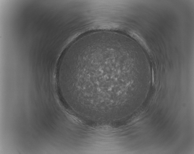 X0000072520483200607290202