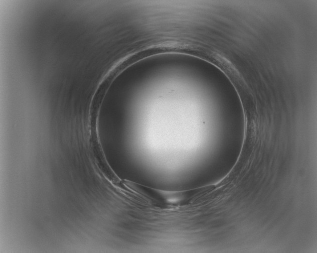 X0000072520484200607290202