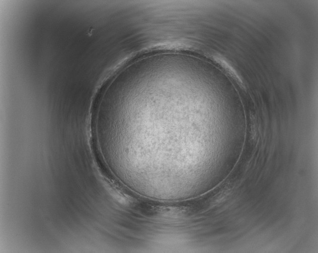 X0000072520486200607290202