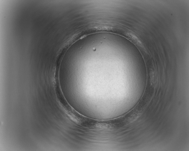 X0000072520490200607290202