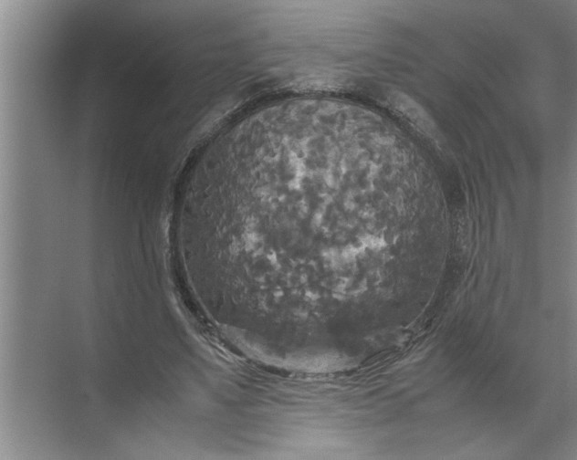 X0000072520491200607290202