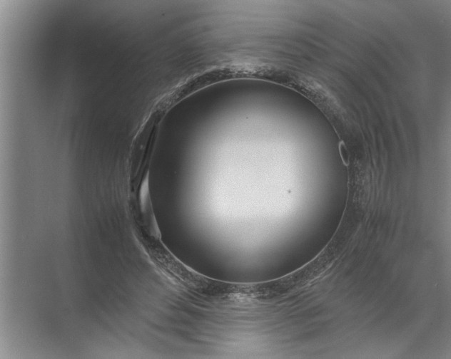 X0000072520496200607290202