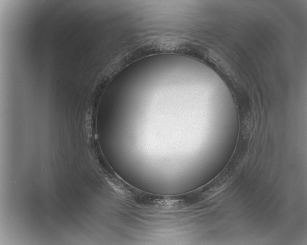 X0000072520497200607290202