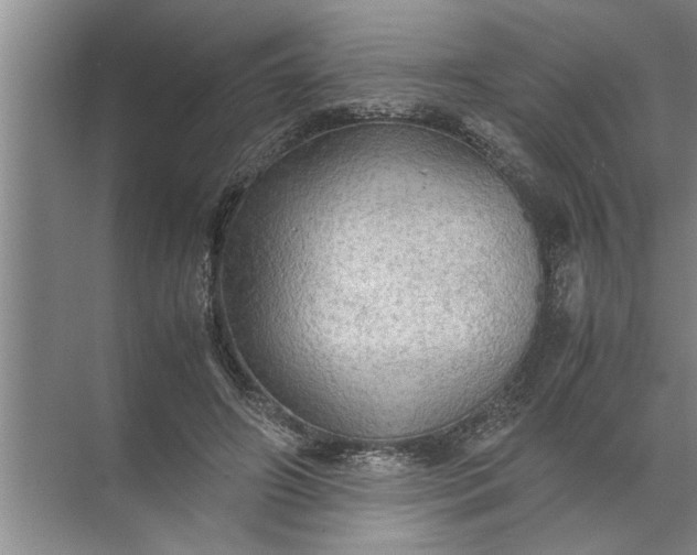 X0000072520498200607290202