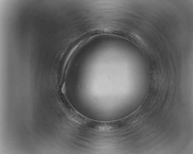 X0000072520500200607290202