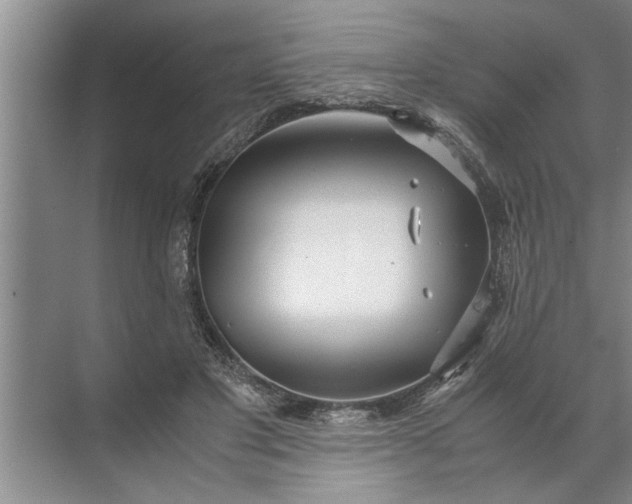 X0000072520501200607290202