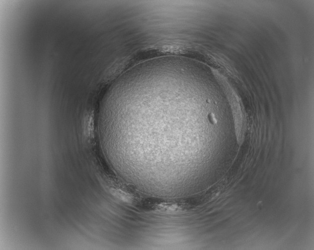 X0000072520502200607290202