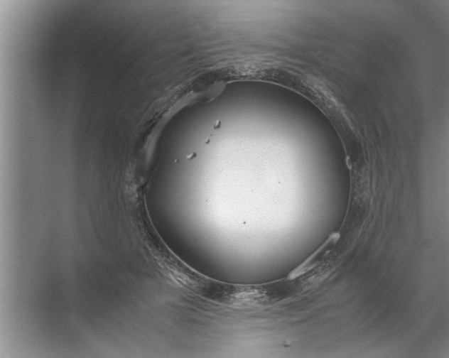 X0000072520505200607290202