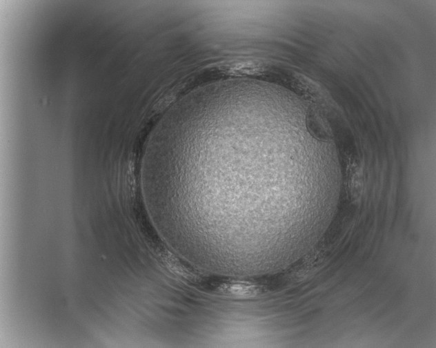 X0000072520506200607290202