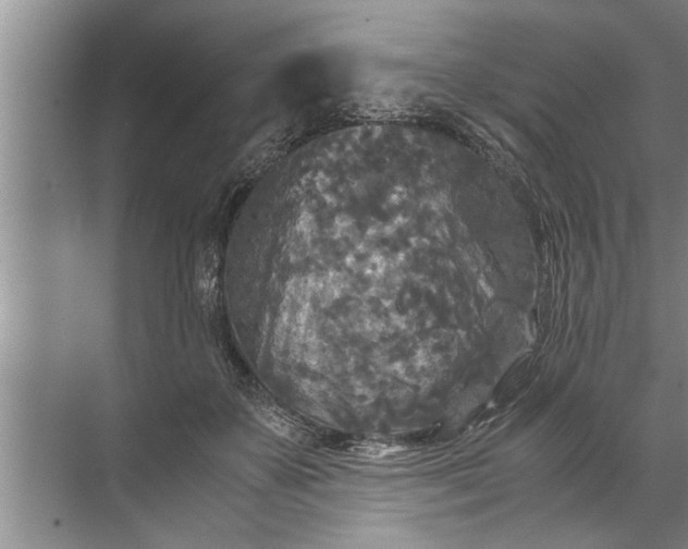 X0000072520507200607290202