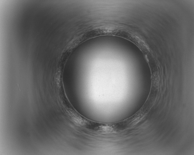 X0000072520509200607290202