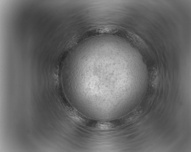 X0000072520510200607290202