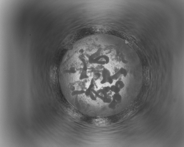 X0000072520511200607290202