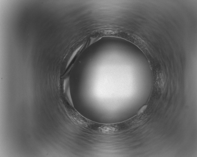 X0000072520512200607290202